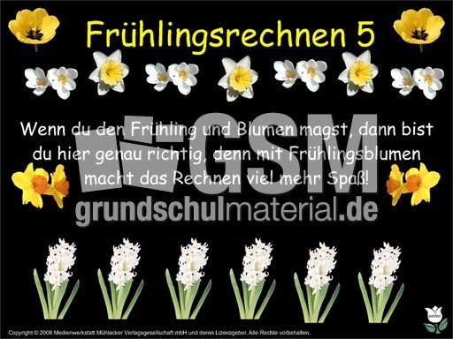 Frühlings-Sachaufgabe-5.pdf